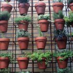 Decoración Del Jardín Para Fiestas De Disfraces En Un Piso