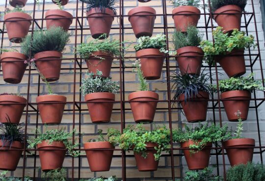 Decoración Del Jardín Para Fiestas De Disfraces En Un Piso
