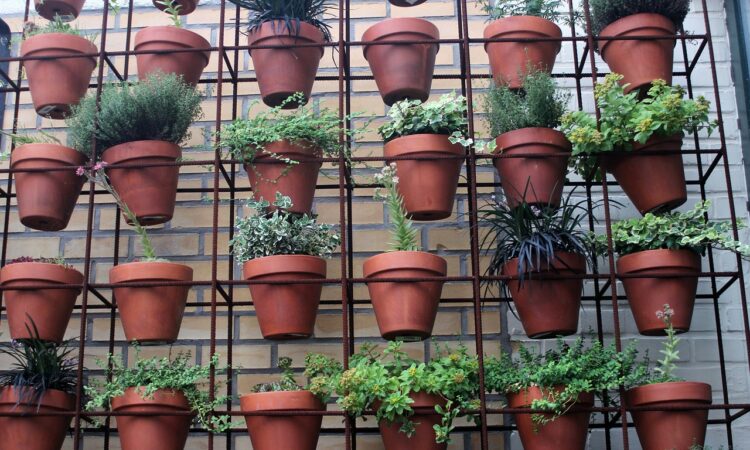 Decoración Del Jardín Para Fiestas De Disfraces En Un Piso