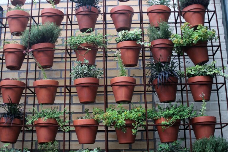 Decoración Del Jardín Para Fiestas De Disfraces En Un Piso