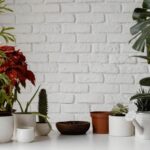 una buena forma de hacerlo es usando elementos sencillos como macetas grandes para interiores, en los que podemos añadir todo tipo de decoración.