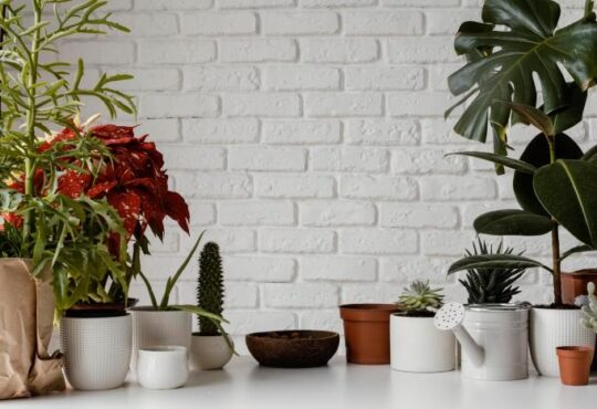 una buena forma de hacerlo es usando elementos sencillos como macetas grandes para interiores, en los que podemos añadir todo tipo de decoración.