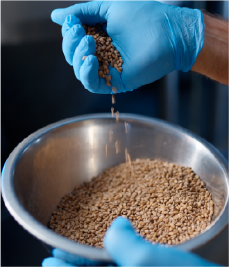 Guía práctica sobre análisis de aceites y grasas, beneficios, consejos y laboratorios de análisis de alimentos para empresas y pymes.
